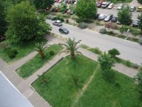 Купить трехкомнатную квартиру в Баре, Черногория 179м2 цена 110 000€ ID: 71023 6