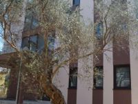 Купить трехкомнатную квартиру в Баре, Черногория 93м2 цена 186 000€ ID: 90065 4