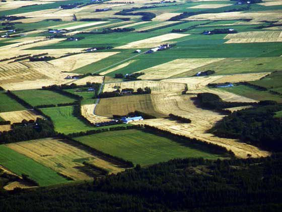 Danish rural areas are popular with immigrants