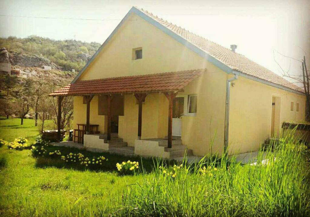 Купить дом в подгорице черногория внж словакии ип