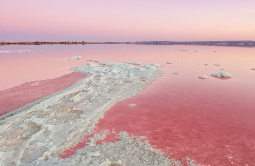 Pink Lakes of Torrevieja