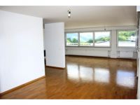 Купить апартаменты в Лугано, Швейцария цена 1 540 604€ элитная недвижимость ID: 55389 2