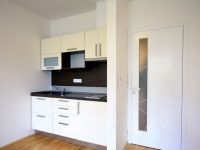 One bedroom apartment in Prague (Czech Republic) - 42 m2, ID:65371