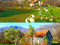 Buy home  in Danilovgrad, Montenegro 59m2, plot 63 000m2 price 195 000€ ID: 70188 2