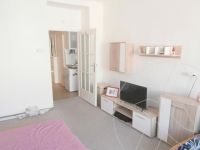 One bedroom apartment in Prague (Czech Republic) - 30 m2, ID:70849