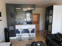 One bedroom apartment in Prague (Czech Republic) - 33 m2, ID:70877