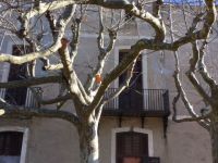 Купить дом в Барселоне, Испания 1 200м2 цена 621 350€ элитная недвижимость ID: 87694 8