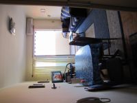 Rent three-room apartment in Becici, Montenegro 50m2 low cost price 82€ ID: 89746 5