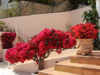 Buy villa in Althea Hills, Spain 475m2 price 1 290 000€ elite real estate ID: 98063 6