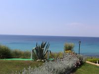 Buy cottage in Cassandra, Greece 160m2 price 270 000€ ID: 99684 2