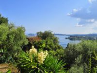 Buy apartment in Corfu, Greece 50m2 price 120 000€ ID: 100389 3
