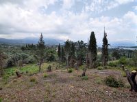 Parcel in Kerkyra (Greece), ID:100454