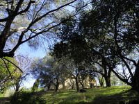 Купить дом на Корфу, Греция 185м2, участок 3 000м2 цена 500 000€ элитная недвижимость ID: 100605 3