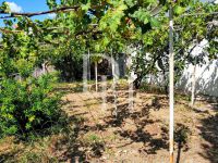 Buy villa in Sutomore, Montenegro 180m2, plot 380m2 price 110 000€ ID: 101866 8