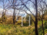 Buy Lot in Sutomore, Montenegro 674m2 low cost price 60 000€ ID: 102412 4