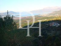 Buy Lot in Kotor, Montenegro price on request ID: 102526 2