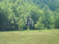 Buy Lot  in Niksic, Montenegro price on request ID: 106436 3