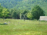 Buy Lot  in Niksic, Montenegro price on request ID: 106436 4
