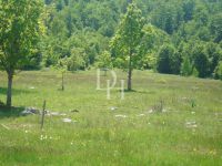 Buy Lot  in Niksic, Montenegro price on request ID: 106436 6