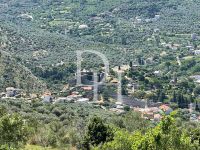 Купить участок в Баре, Черногория 10 000м2 цена 300 000€ элитная недвижимость ID: 110330 2