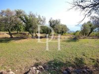 Buy villa in Herceg Novi, Montenegro 237m2, plot 489m2 price 195 000€ ID: 112080 4