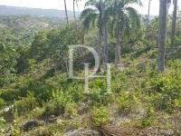 Buy Lot in Sosua, Dominican Republic 4 000m2 low cost price 26 000$ ID: 113583 3