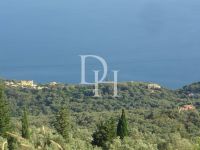 Buy Lot in Corfu, Greece 7 945m2 price 150 000€ ID: 116732 5