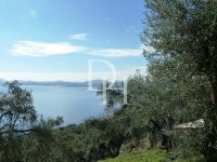 Buy Lot in Corfu, Greece 12 000m2 price 350 000€ elite real estate ID: 117106 3