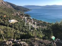 Buy Lot in Corfu, Greece 4 700m2 price 500 000€ elite real estate ID: 117301 10