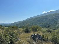 Parcel in Danilovgrad (Montenegro) - 5000 m2, ID:118724