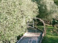 Buy villa in Corfu, Greece 105m2, plot 4 000m2 price 250 000€ ID: 119460 2