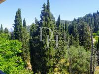 Buy cottage in Corfu, Greece 355m2, plot 2 000m2 price 250 000€ ID: 119737 4