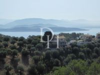 Купить коттедж на Корфу, Греция цена 300 000€ элитная недвижимость ID: 123148 5