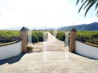 Buy home in Malaga, Spain price 7 000 000€ elite real estate ID: 123210 4