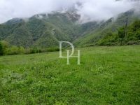 Parcel in Kolasin (Montenegro) - 10500 m2, ID:126475