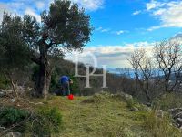 Buy Lot in Sutomore, Montenegro 485m2 low cost price 45 000€ ID: 127811 4
