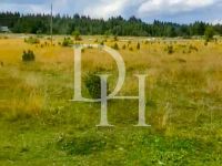 Buy Lot  in Zabljak, Montenegro 800m2 low cost price 55€ ID: 128249 2