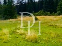 Buy Lot  in Zabljak, Montenegro 800m2 low cost price 55€ ID: 128249 3