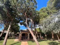 Buy villa in Punta Prima, Spain 170m2, plot 738m2 price 695 000€ elite real estate ID: 128560 3