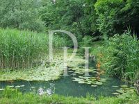 Купить дом в Бледе, Словения 872м2, участок 12 000м2 цена 2 490 000€ элитная недвижимость ID: 128992 7