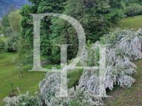 Купить дом в Бледе, Словения 872м2, участок 12 000м2 цена 2 490 000€ элитная недвижимость ID: 128992 8