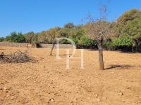 Buy Lot  in Majorca, Spain price 465 000€ elite real estate ID: 129547 2