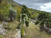 Buy Lot in Sutomore, Montenegro 485m2 low cost price 43 000€ ID: 129869 2