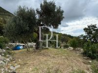 Buy Lot in Sutomore, Montenegro 485m2 low cost price 43 000€ ID: 129869 4