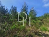 Buy Lot in Sutomore, Montenegro 1 727m2 price 155 000€ near the sea ID: 129947 4