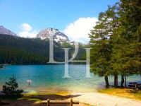 Buy Lot  in Zabljak, Montenegro 500m2 low cost price 35 000€ ID: 130062 2