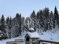 Buy cottage  in Zabljak, Montenegro 200m2, plot 300m2 price 300 000€ elite real estate ID: 130189 10