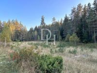 Buy Lot  in Zabljak, Montenegro 16 500m2 price 660 000€ elite real estate ID: 130326 2