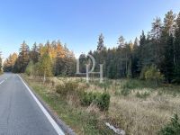 Buy Lot  in Zabljak, Montenegro 16 500m2 price 660 000€ elite real estate ID: 130326 3