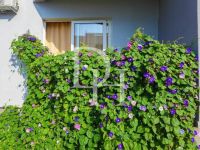 Купить гостиницу в Утехе, Черногория 220м2 цена 280 000€ у моря коммерческая недвижимость ID: 130313 5